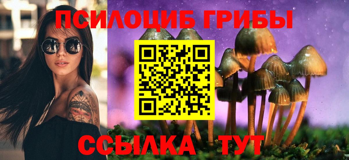 Галлюциногенные грибы Psilocybine cubensis  Вход с VPN  Александров 